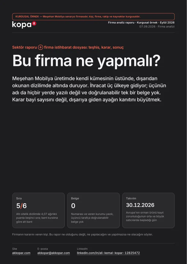 Firma analiz raporu — Kapak · raporun kimlik bilgileri