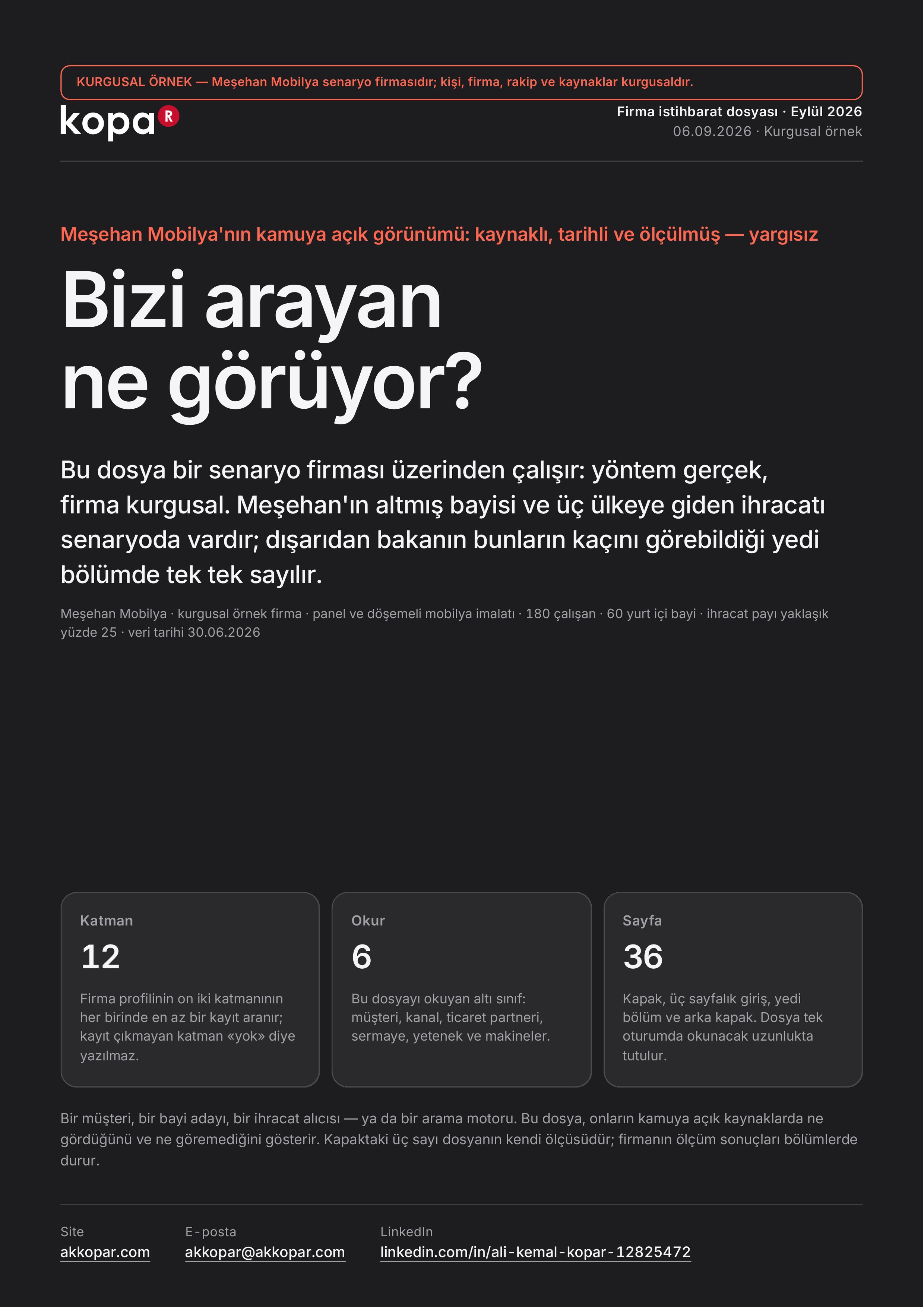 Firma istihbarat dosyasının kapak sayfası.